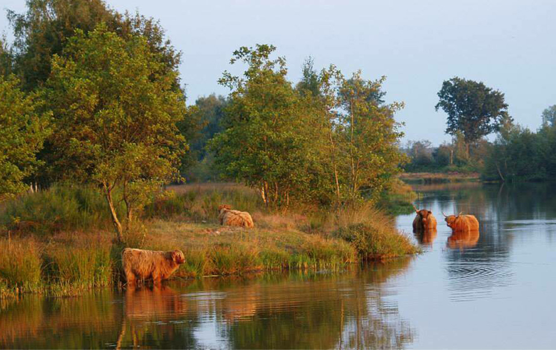 Omgeving sfeerfoto 1