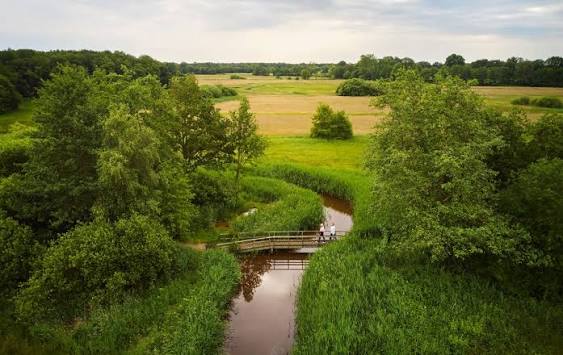 Natuurlijke pracht